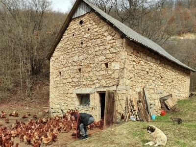 Farma koka u Prozor-Rami