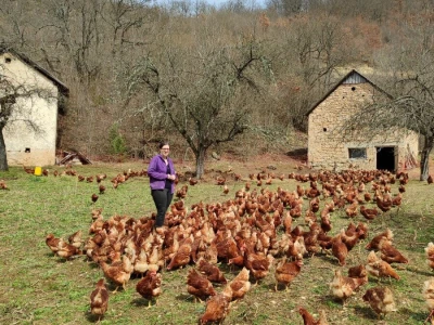 Farma koka u Prozor-Rami