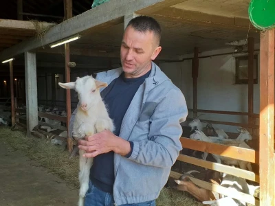 Farma koza Duvno