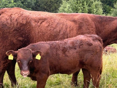 Farma Ohran