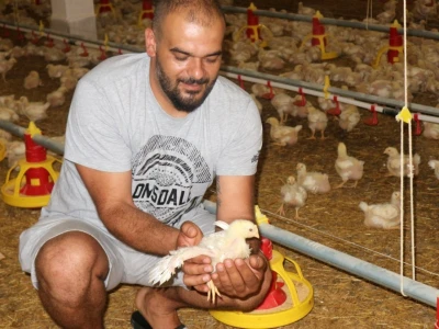 Farma pilića "Pileti" iz Bratunca