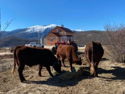 FARMA PODHUM, centar izvrsnosti organskog uzgoja goveda pasmine salers