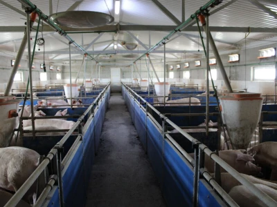 Farma Posušje