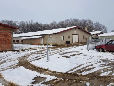 Farma Velibora Popovića proizvešće 4,5 miliona rasplodnih jaja