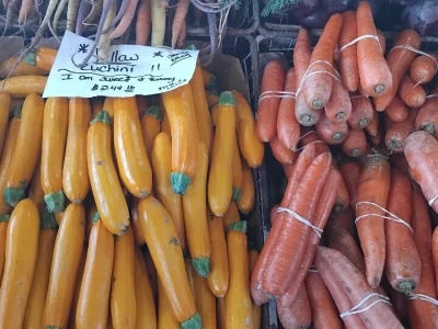 Farmers market u Sjevernoj Karolini