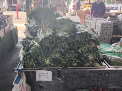 Farmers market u Sjevernoj Karolini