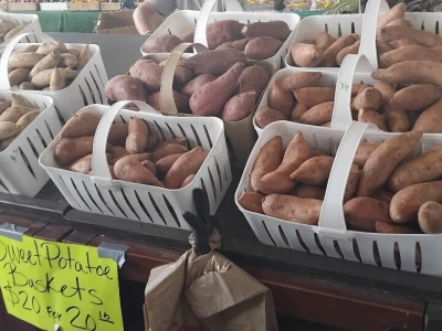 Farmers market u Sjevernoj Karolini