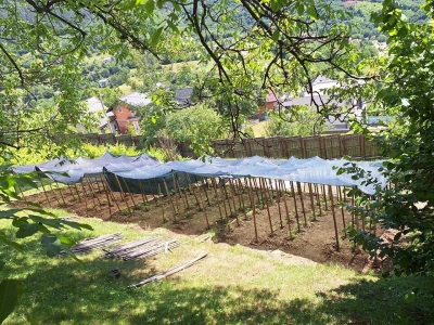 Fazlin "bijeg" iznad Sarajeva
