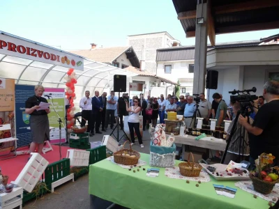 Dani maline i meda Žepče