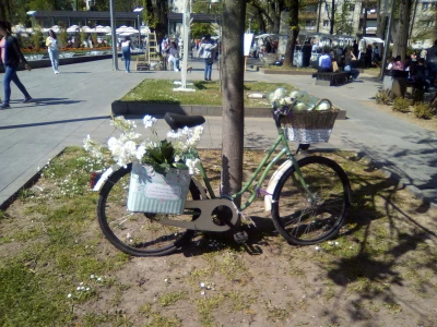 Festival cvijeća