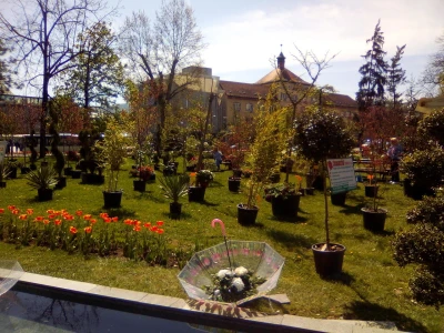 Festival cvijeća