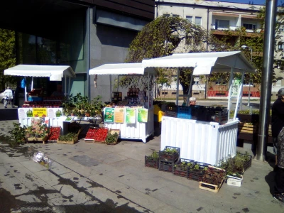 Festival cvijeća