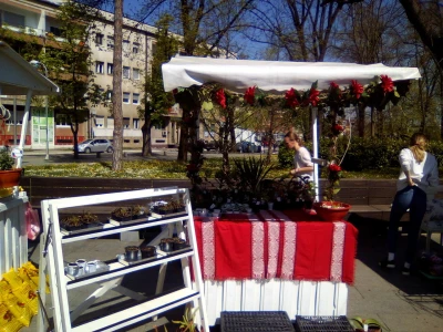 Festival cvijeća