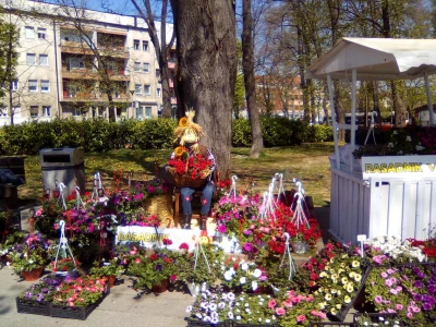 Festival cvijeća