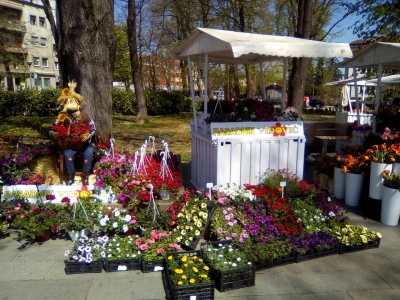 Festival cvijeća