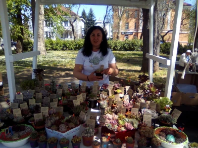 Festival cvijeća