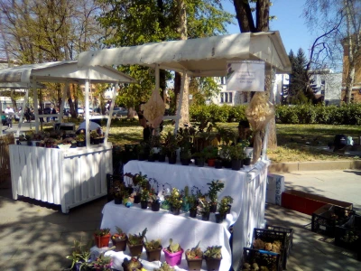 Festival cvijeća