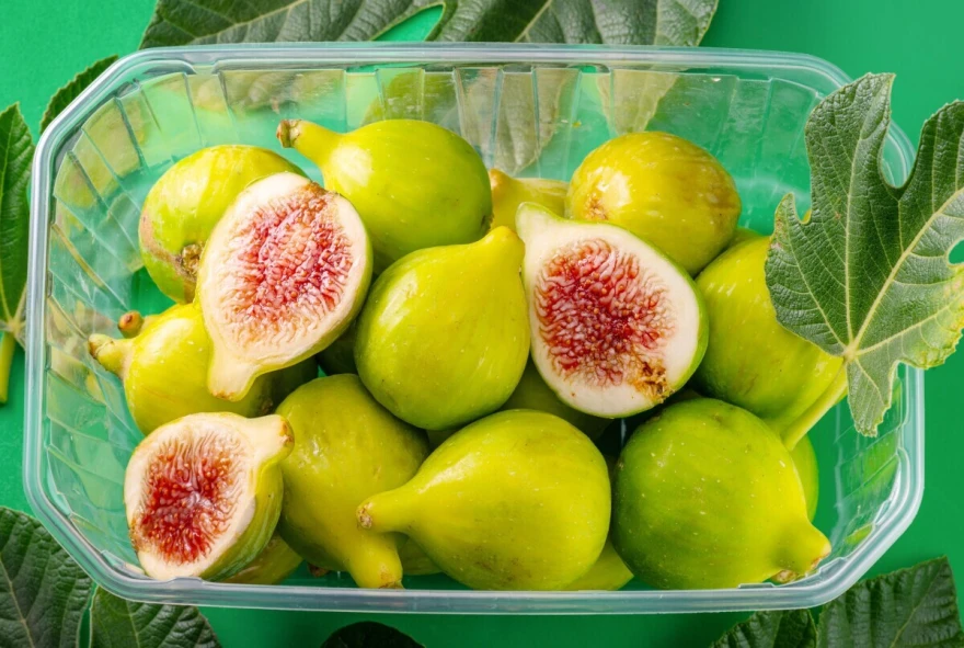 FoodFacts - smokvina osa