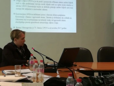 Foto: Danijela Plavšić