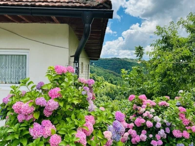 Fotografije sela iz BiH nominirane u okviru RuralFoto