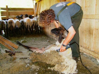 Fotografije sela iz BiH nominirane u okviru RuralFoto