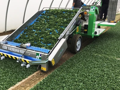 Fruit Logistica 2019