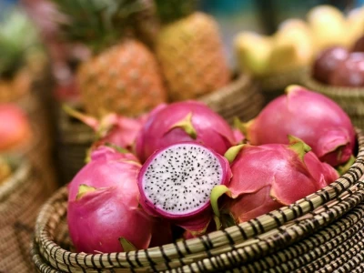 Fruit Logistica 2019