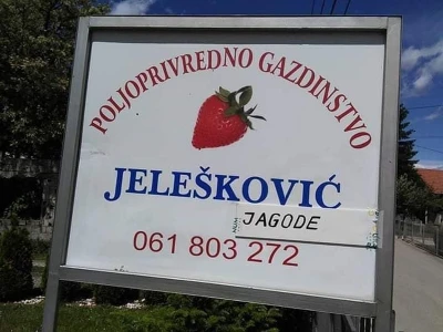 Asad Jelešković: Uzgoj jagode je veoma isplativ