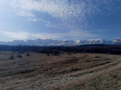 Gdje čeljad nije bijesna, ni Zijemlja nisu tijesna.