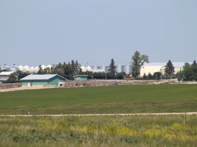 Govedarstvo Kanade