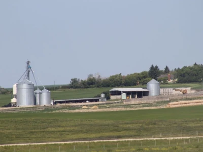 Govedarstvo Kanade