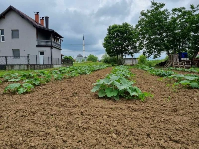 Gradaščević