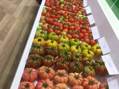 Growtech turski sajam poljoprivrede