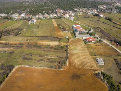Grožđe beremo ručno i to su nam najljepši dani u godini