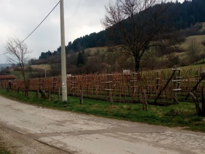 Hazim i Nihada Ljubunčić: Za poljoprivredu je najvažnije uzgajati više kultura