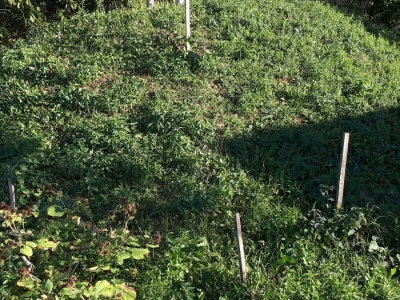 Hobbitova kućica usred slavonske ravnice mjesecima održava namirnice svježima