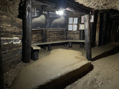 I visočki faraoni bi mastili brkove Babićevom pečenicom