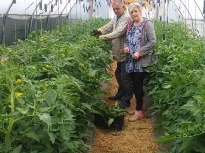 Ibrahim i Jasminka Ajanović: Uz plastenik se podmlađujemo