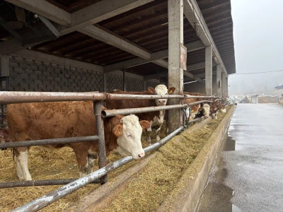 Nezaustavljiv rast Farme Euro, uskoro vrata otvara i sirana