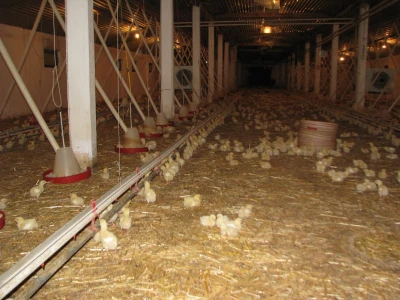farma