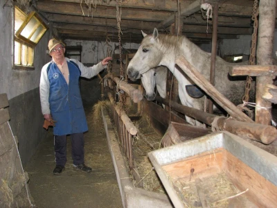 Jovan pored svojih konja