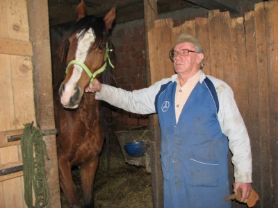 Jovan pored kobile arapske rase