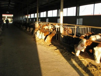 Murisova farma