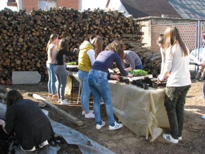 praksa