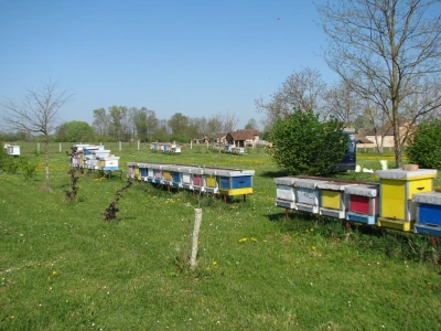 pčelinjak