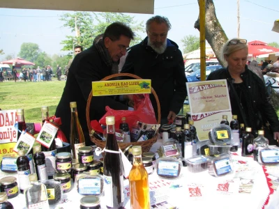 Gvozdenci na Zdravofestu