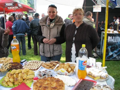 Zdravofest