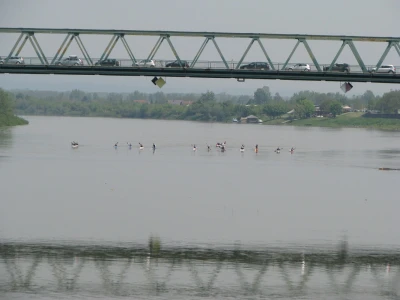 kajakaši