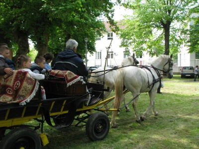 Fijaker posebna atrakcija