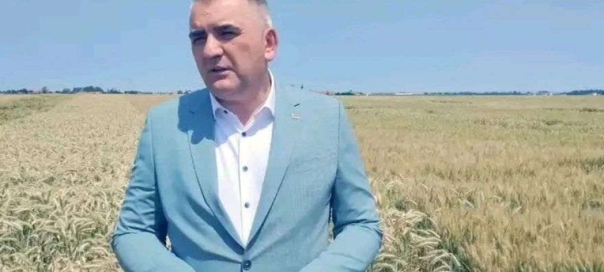 Minić u Novom Selu